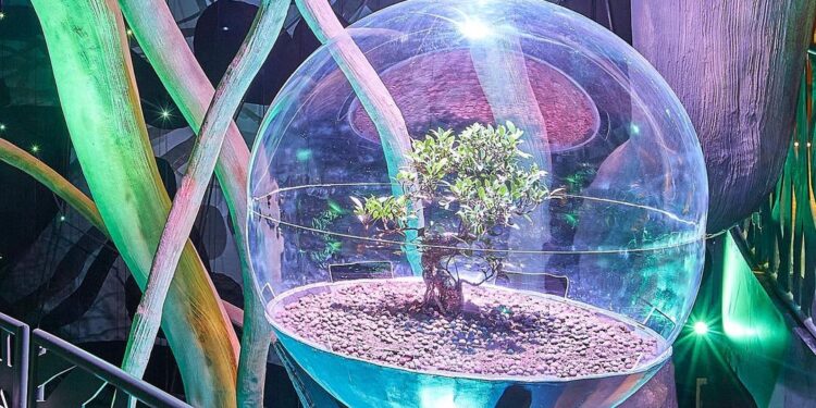 Expo 2020 The Sustainability Pavilion