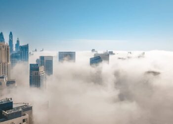 Dubai property management organization