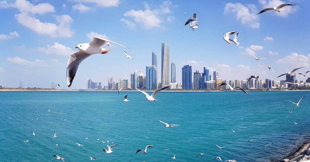 Dubai's property market