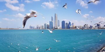 Dubai's property market