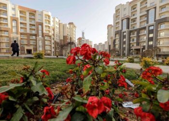 Cairo real estate market posts Q1 growth; gated communities in demand