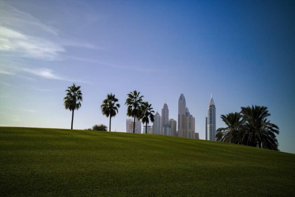 Property buyers overcoming sellers in Dubai
