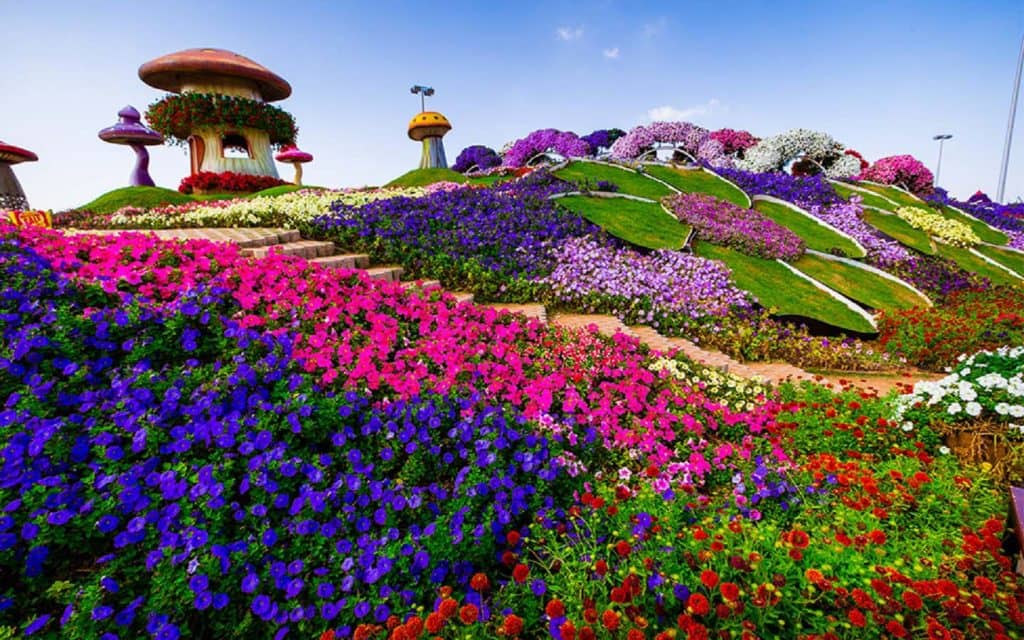 Dubai Miracle Garden