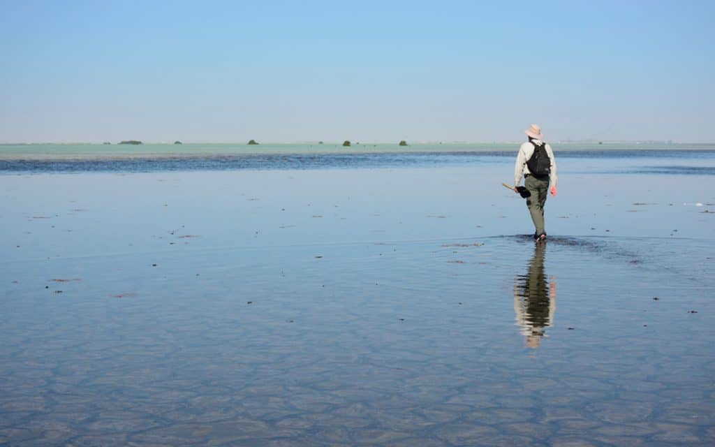 Abu Dhabi Sabkha