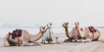 UNESCO heritage sites in the UAE