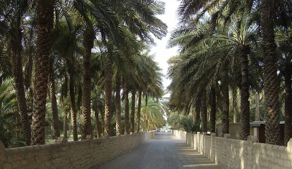 Al-Ain Oasis