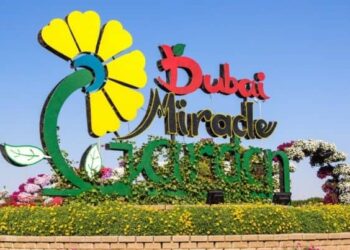 Miracle Garden of Dubai