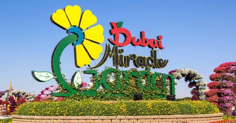 Miracle Garden of Dubai