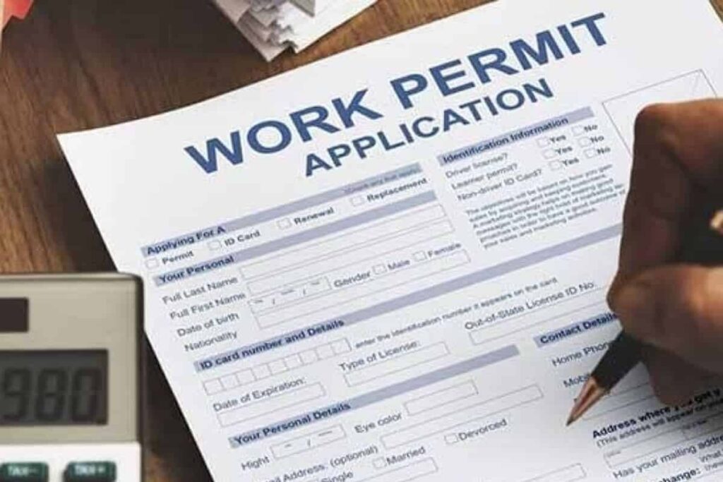 Work permit costs in the UAE announced - everything you need to know