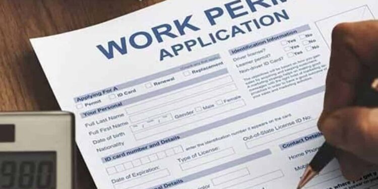 Work permit costs in the UAE announced - everything you need to know