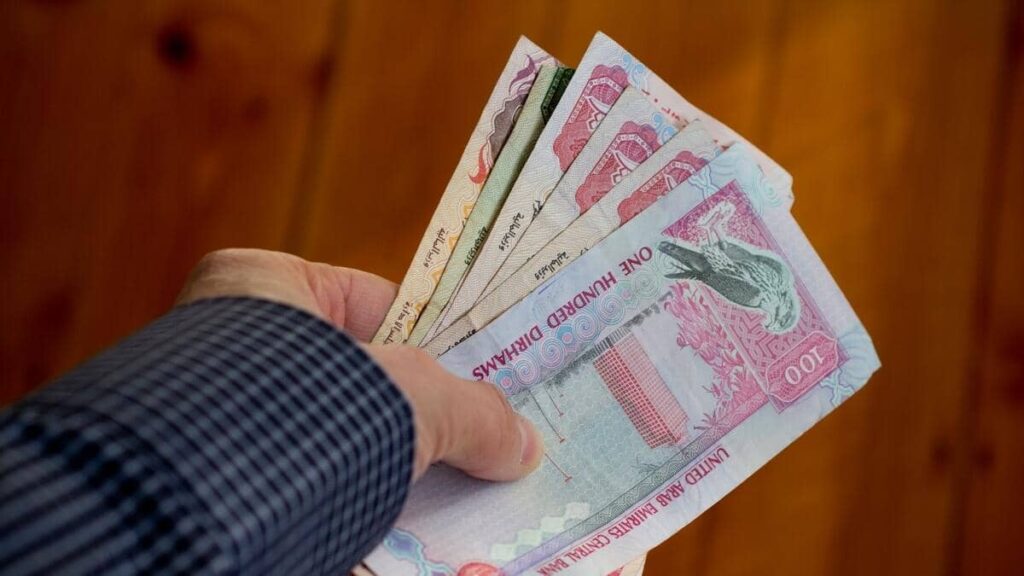 In the UAE, what are the different types of government fees?