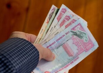 In the UAE, what are the different types of government fees?