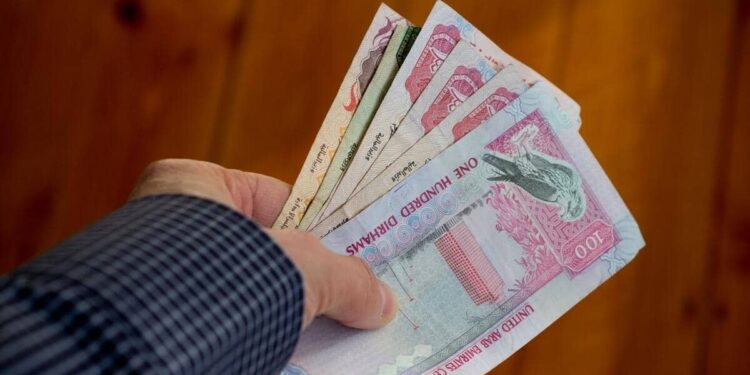 In the UAE, what are the different types of government fees?
