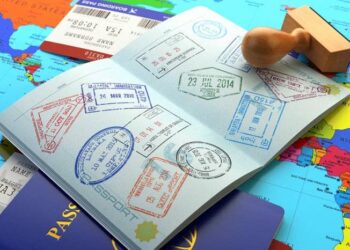 How can one check if he or she has fines for visas in the UAE?