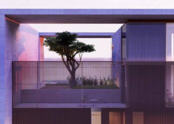 Villa with 1,600-year-old olive tree sells for 128 million dirhams in Dubai Palm Jumeirah