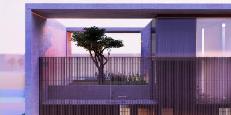 Villa with 1,600-year-old olive tree sells for 128 million dirhams in Dubai Palm Jumeirah