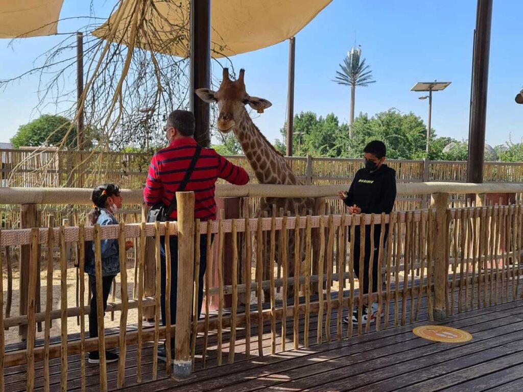 Ticket prices, location, and more for Dubai Safari Park 2022