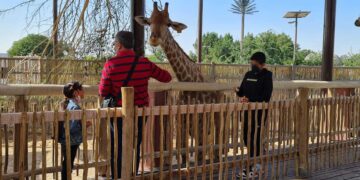 Ticket prices, location, and more for Dubai Safari Park 2022