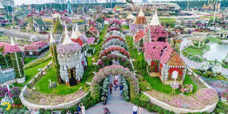 All you need to know about Dubai Miracle Garden's 11th season