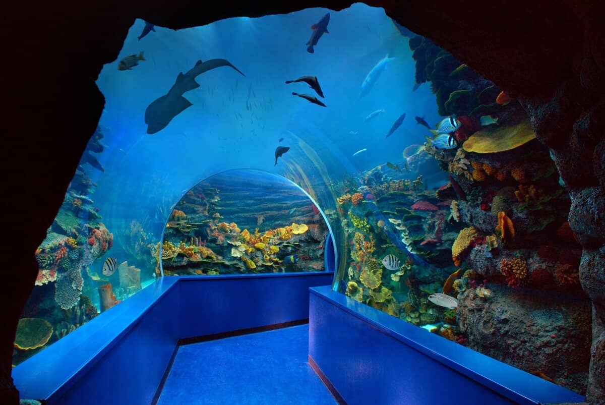 Sharjah Aquarium