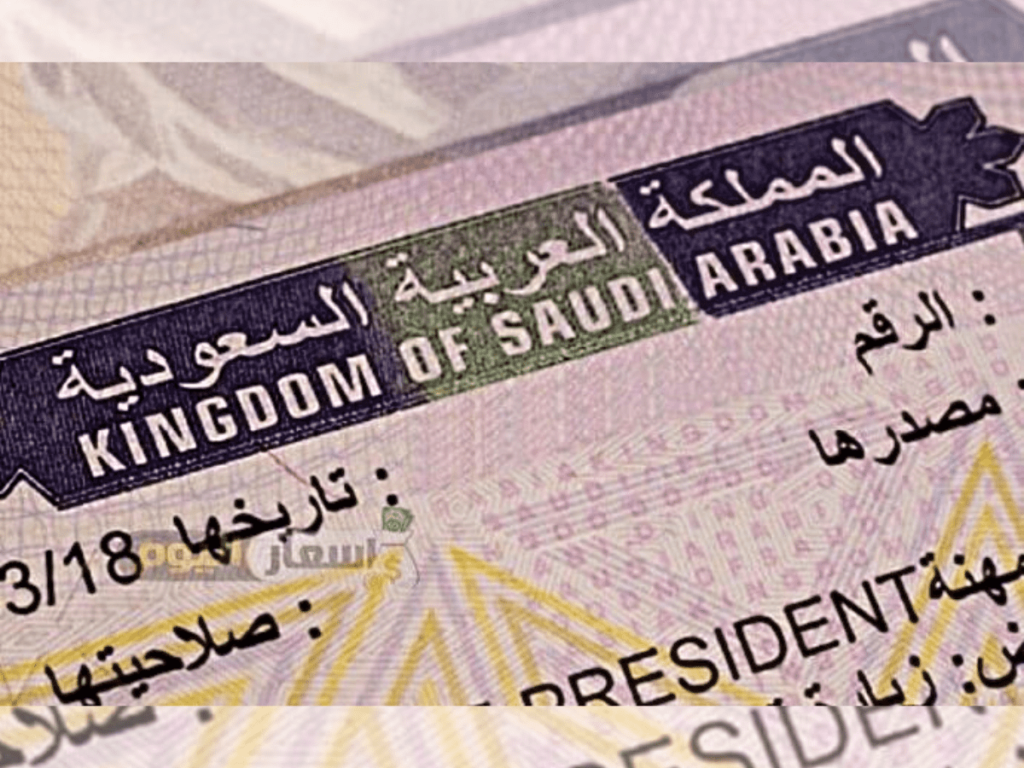 Applying for the Saudi eVisa? As an expat in the GCC, make sure your occupation is eligible