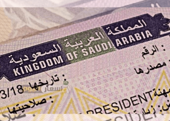 Applying for the Saudi eVisa? As an expat in the GCC, make sure your occupation is eligible