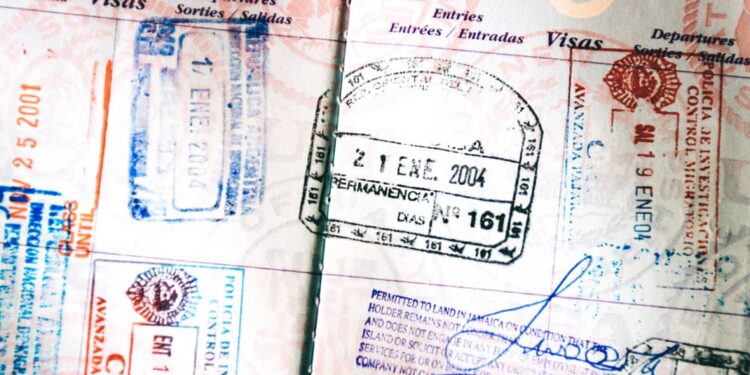 Planning to work in the UAE? You can apply for five types of visas