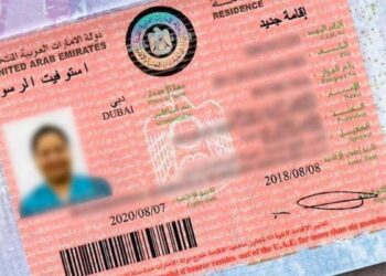 The process of sponsoring a family in the UAE for Green Visa holders