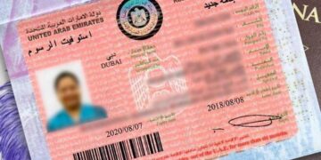 The process of sponsoring a family in the UAE for Green Visa holders