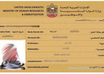 Online access to a free digital labour card in the UAE