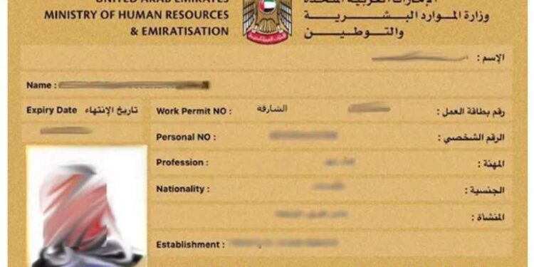 Online access to a free digital labour card in the UAE