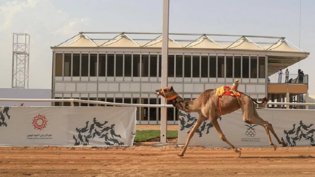 Al Tallah Camel Racecourse