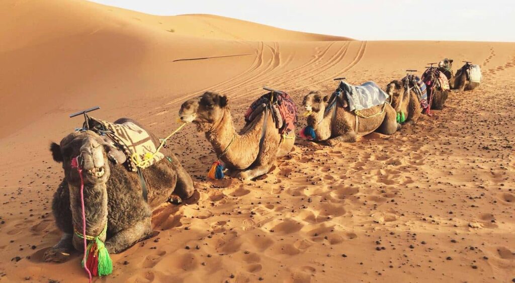 How to survive summer in the UAE: 8 tips
