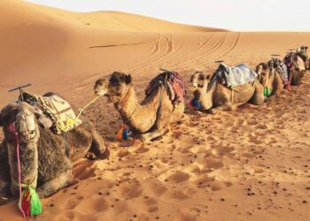 How to survive summer in the UAE: 8 tips