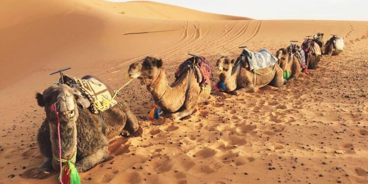 How to survive summer in the UAE: 8 tips