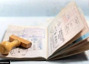 4 criteria for applying for the UAE Green Visa as a skilled worker