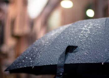 Dubai Metro and bus users: how to borrow and keep cool with free umbrellas