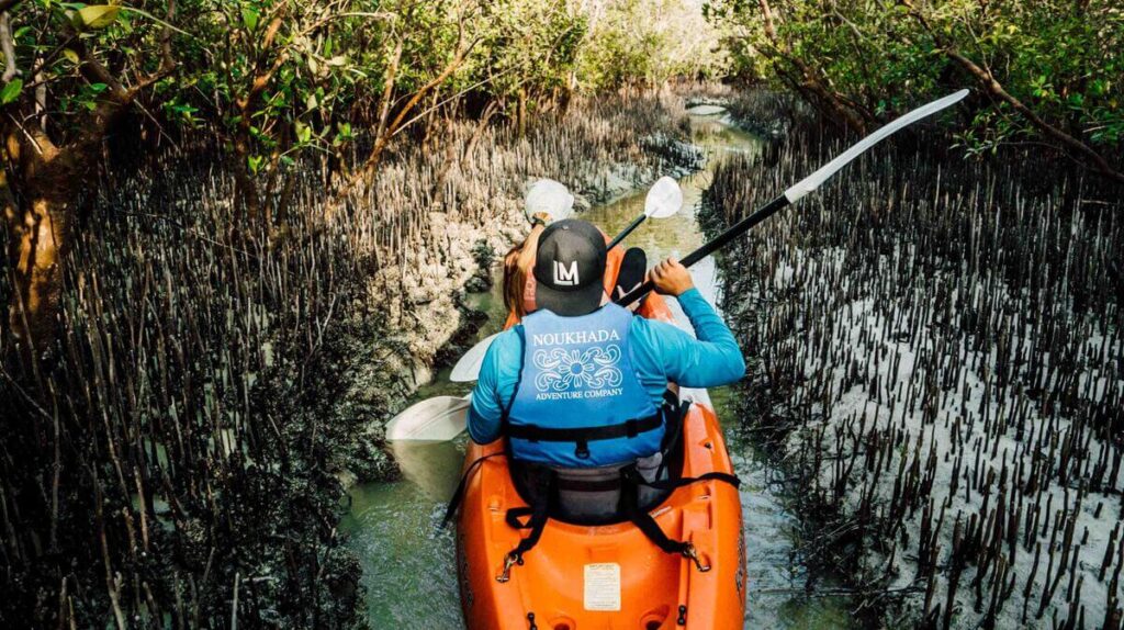 Mangrove Kayaking