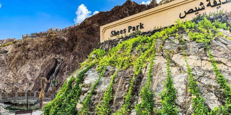 Discover Khorfakkan’s Best-Kept Secret