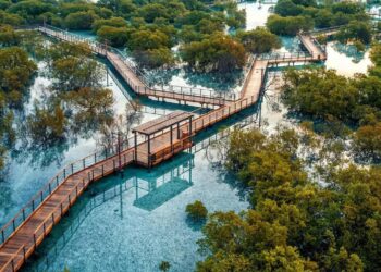 From ticket prices to location, everything you need to know about Jubail Mangrove Park in Abu Dhabi