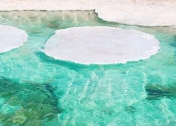 Abu Dhabi's Long Salt Lake - Everything You Need To Know