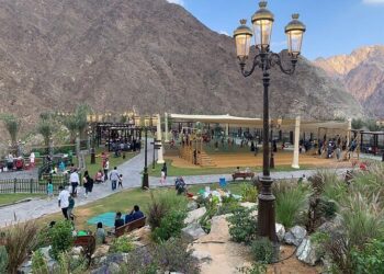 The Perfect Day Trip To Wadi Shees: 5 Things To Do