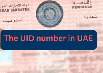 UID number in UAE 2024: How to find it?