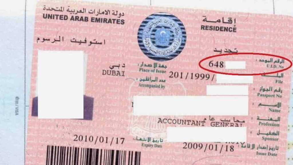 Living in the UAE? Here’s What You Need to Know About Your Unified Number (UID)