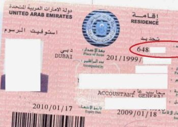 Living in the UAE? Here’s What You Need to Know About Your Unified Number (UID)